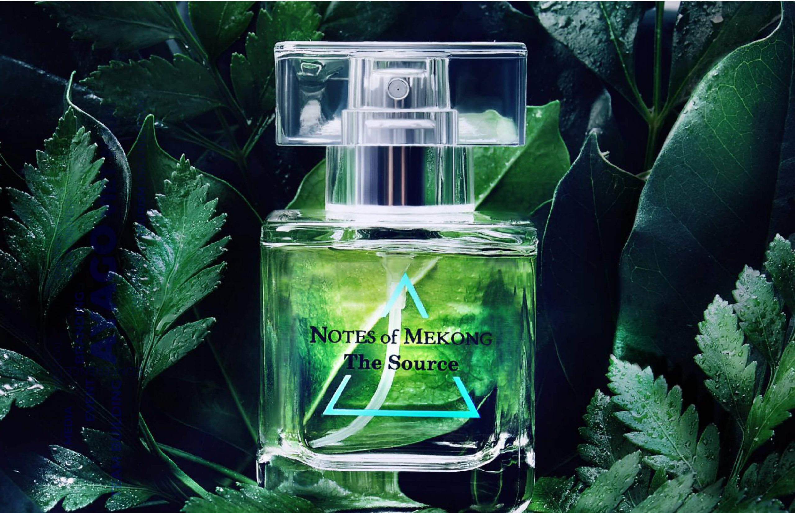 Quay phim và chụp hình Nha Trang - Ayago Media