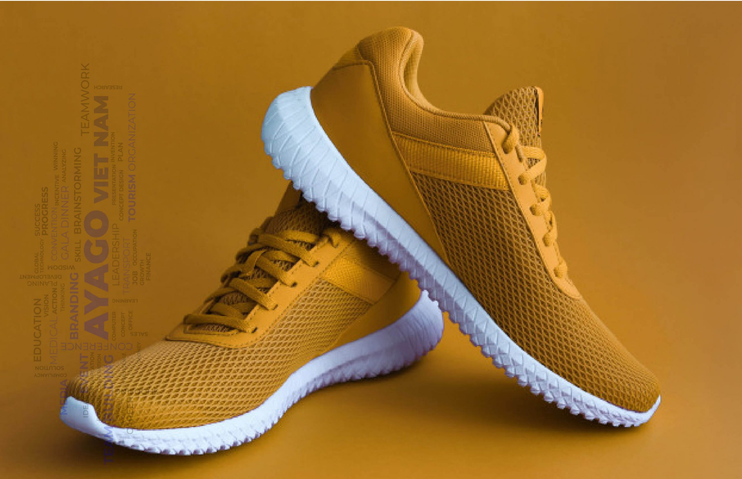 Quay phim và chụp hình Nha Trang - Ayago Media